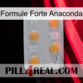 Anaconda Strong Formula 24